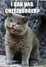icanhazcheezburger