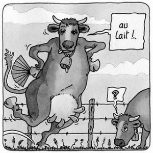 This is probably the best of the 