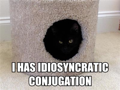 idiosyncratic-conjugation-lolcats-kitty-pidgin