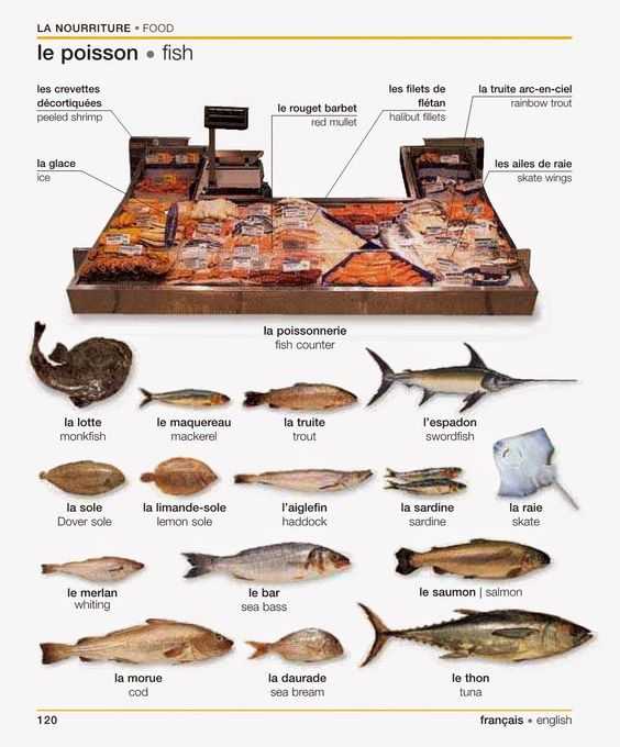 poissons-b475313b200d67ac8b7433d85e9b4004