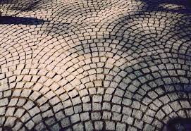 queue-de-paon-images