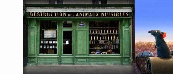 3201193267_1_2_1xvwye8b