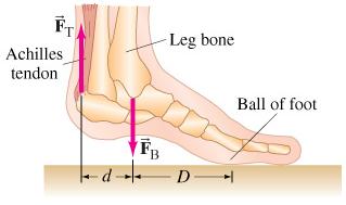 Unarmed combat: the illustrated&nbsp;version