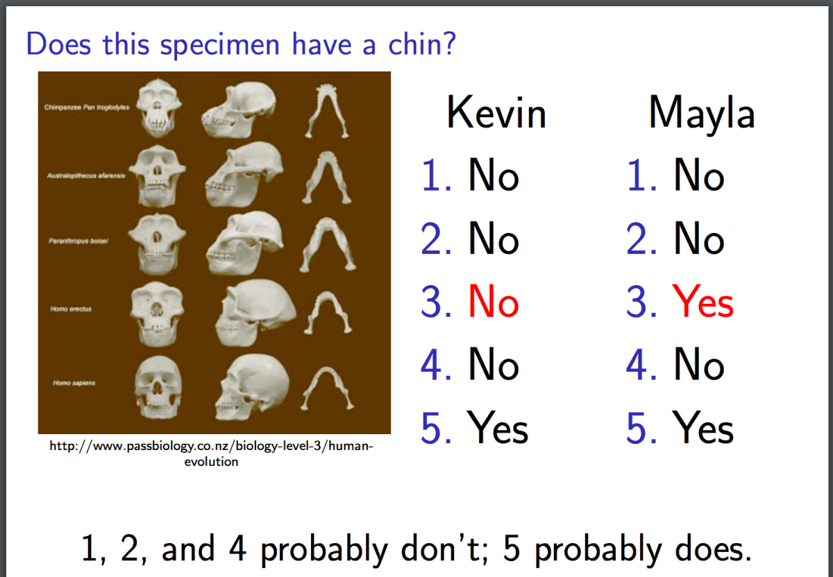 Observed agreement, expected agreement, and&nbsp;chins