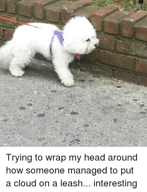 trying-to-wrap-my-head-around-how-someone-managed-to-22895477