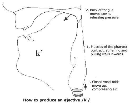 Languages that give you a sore&nbsp;throat