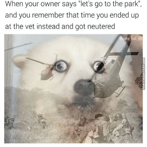 Jokes that can’t be&nbsp;translated