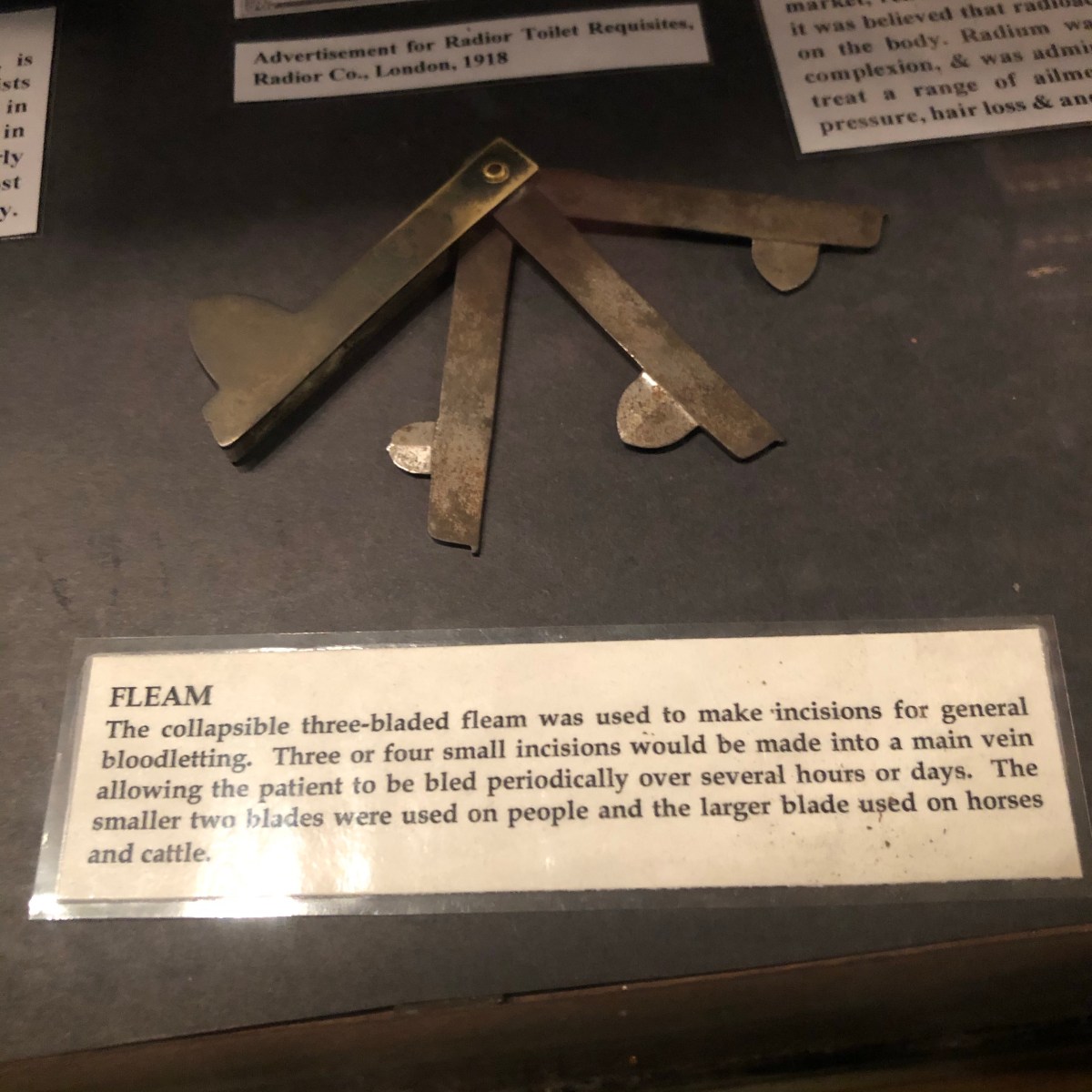 I love a good monosyllable III:&nbsp;Fleam