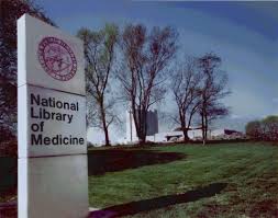 These are all true stories: or, Language Generation For&nbsp;Dummies