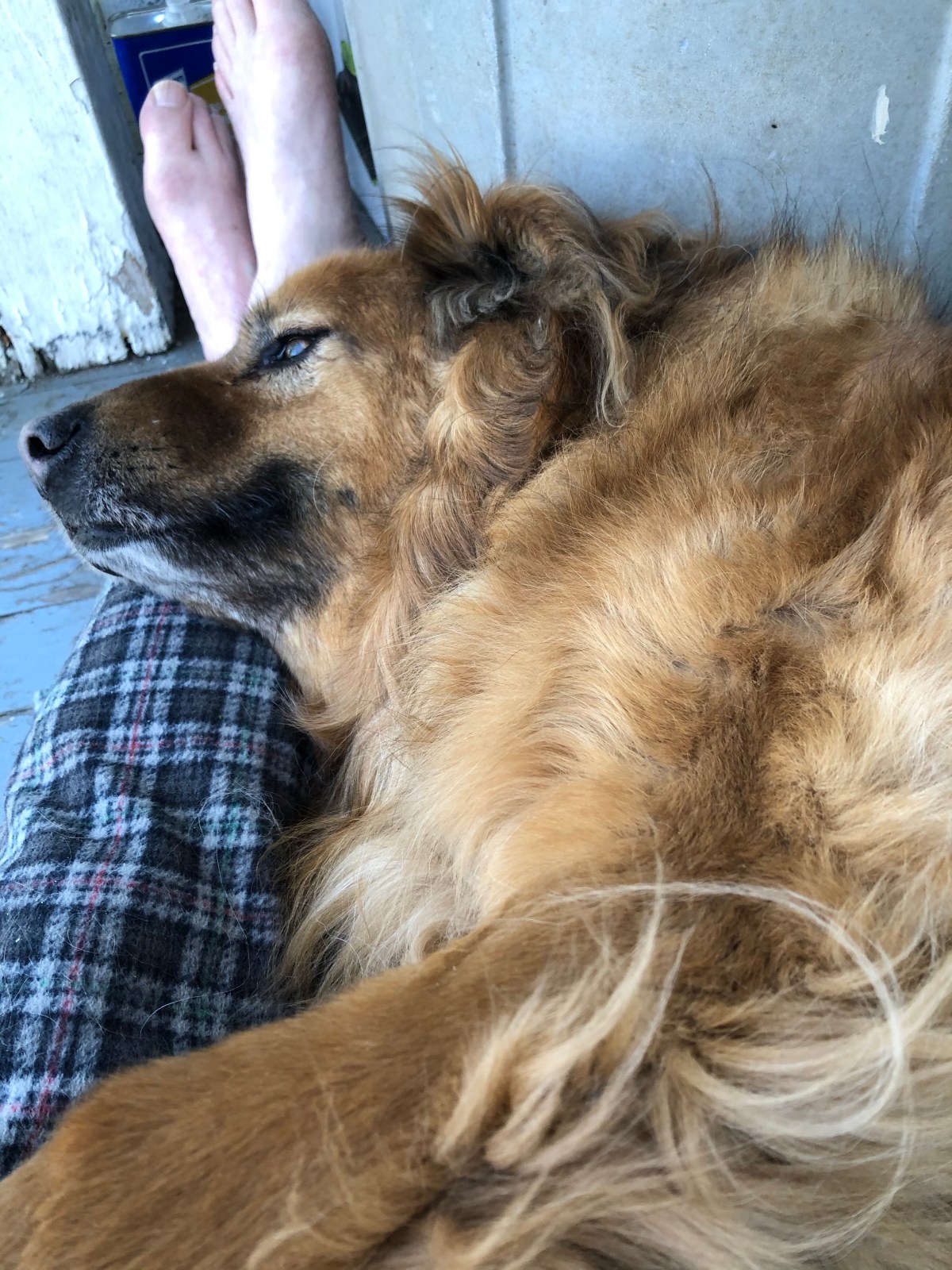 Fiche le camp, Jack: English idiomatic expressions with “to&nbsp;hit”